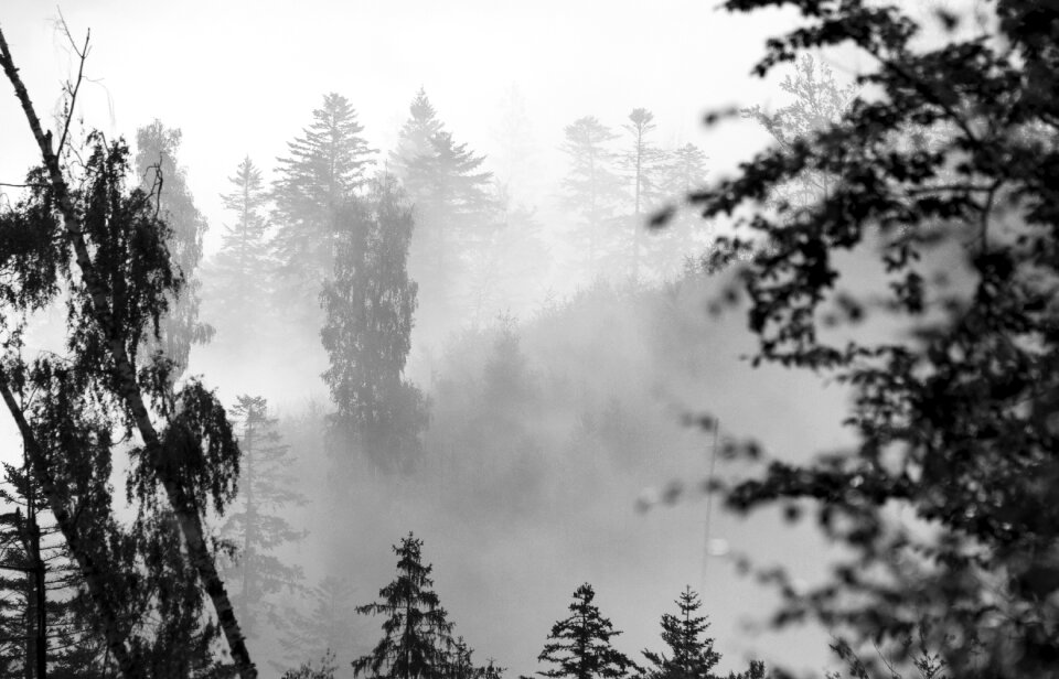 Landscape nature wilderness