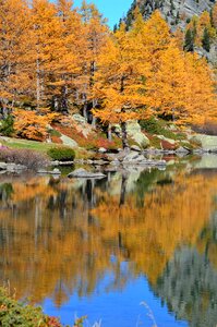 Fogliage lake autumn