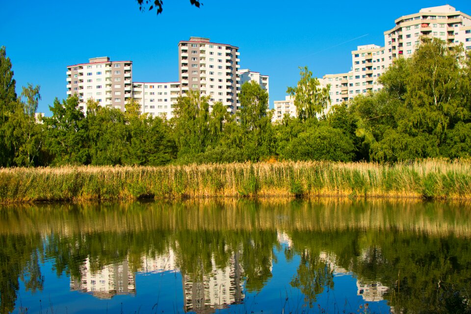 Lake mirroring architecture