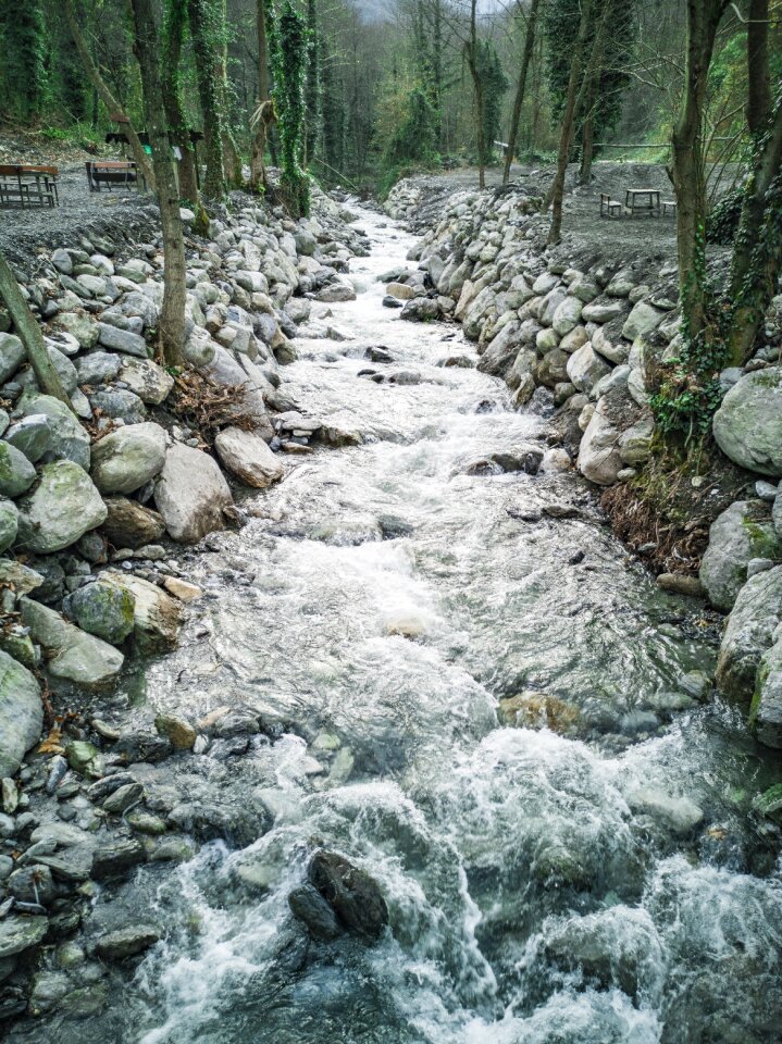 Stream nature forest