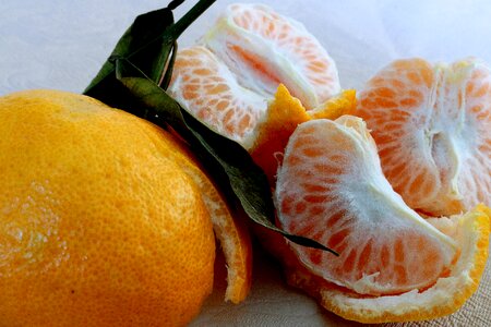 Food healthy citric photo