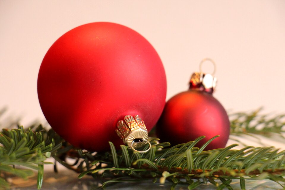 Fir green christmas decoration red