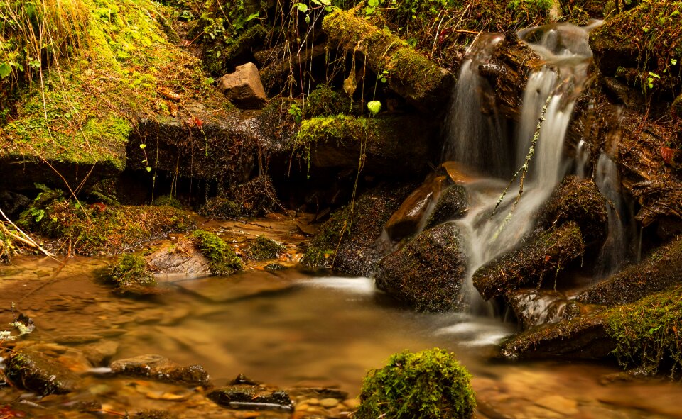 Landscape stream mountain river