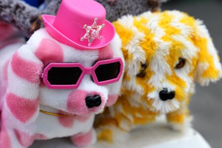 Funny cute humoristic