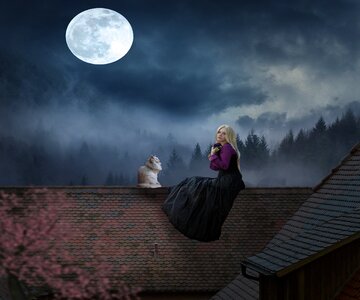 Fantasy rooftop moon photo