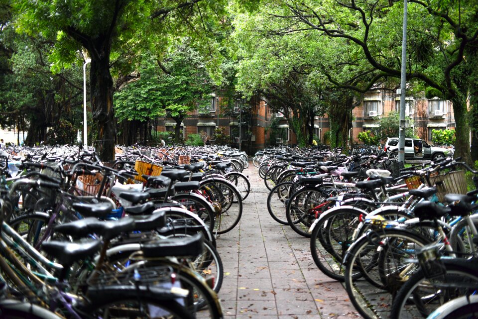 University bike iron horse
