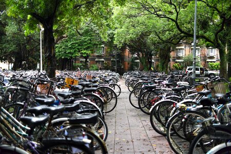 University bike iron horse