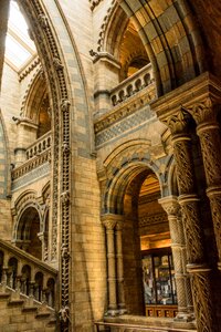 Architecture history natural history museum