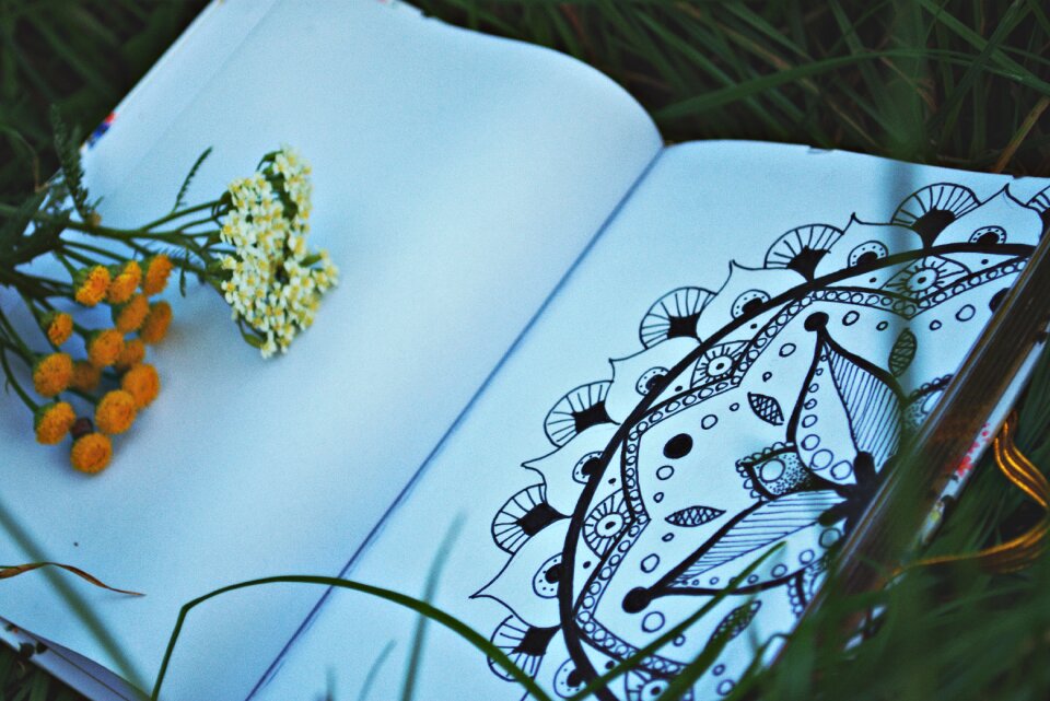 Drawing nature green