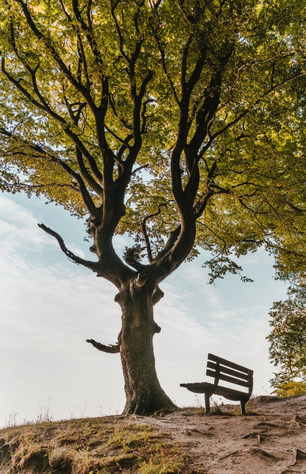 Nature break rest