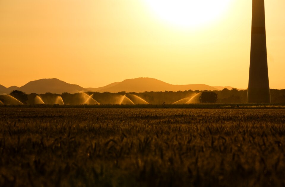 Pinwheel dazzle sun