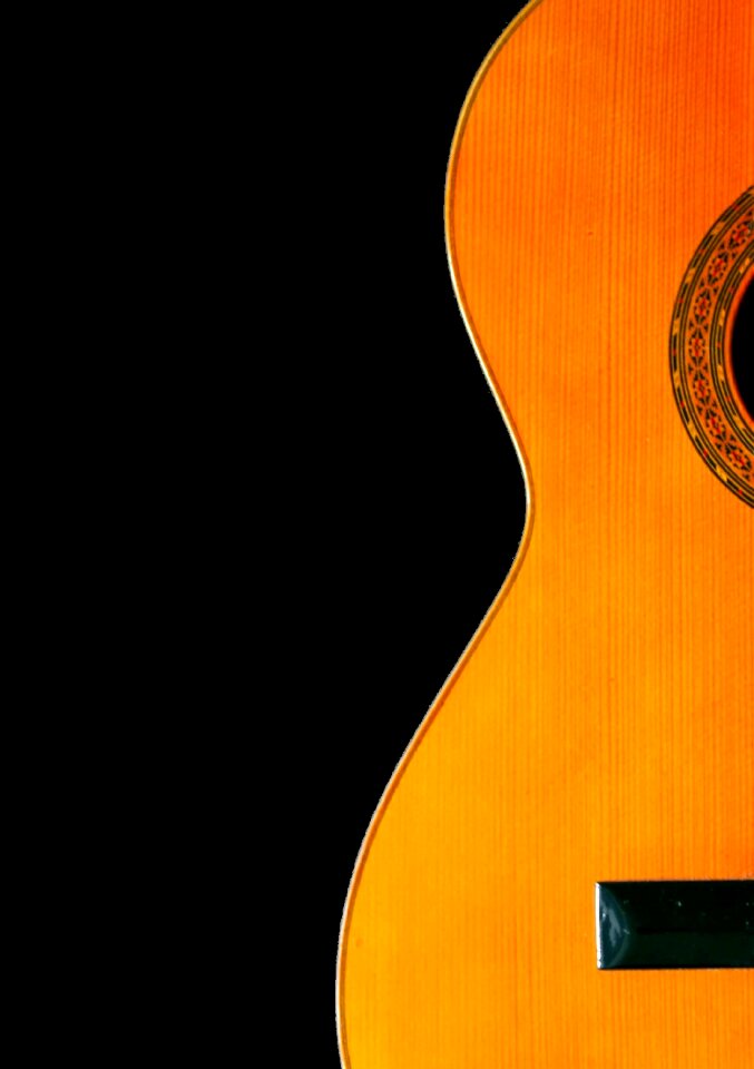 Music sound stringed instrument
