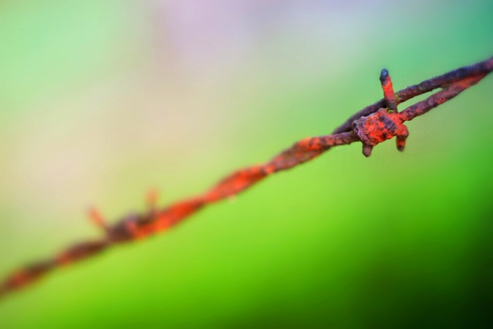 Wire fence demarcation