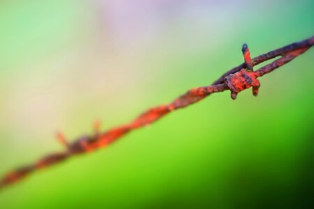 Wire fence demarcation photo