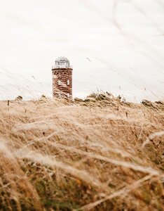 Rügen summer baltic sea photo