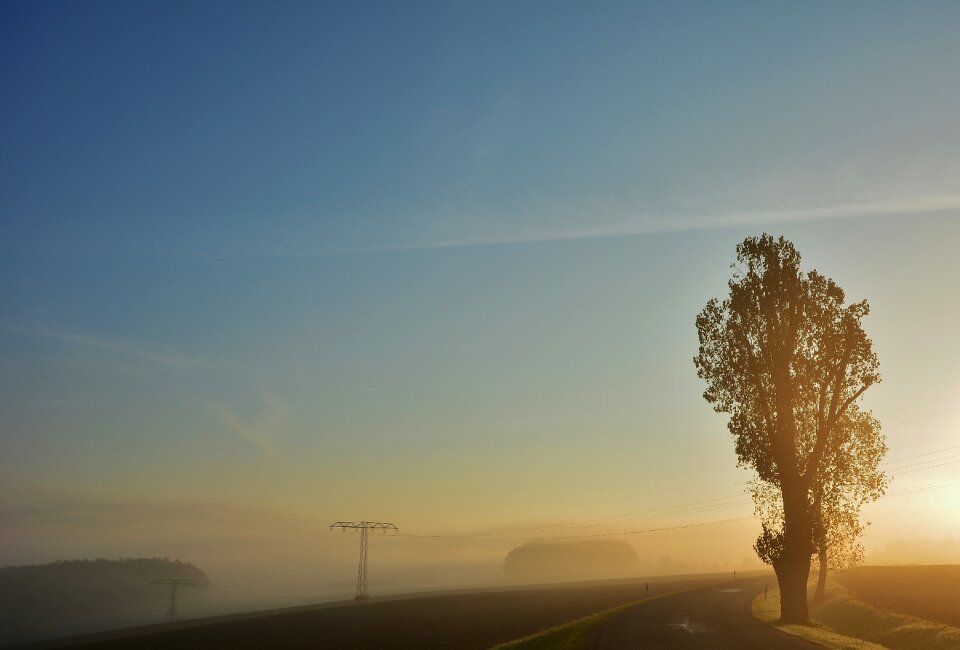 Sunrise trees autumn