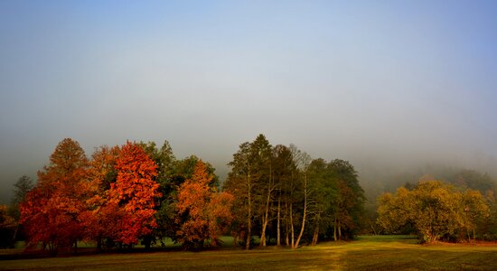 Greizer park thuringia germany autumn photo