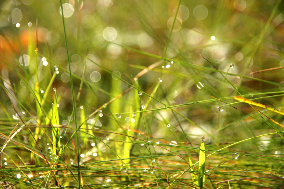 Close up green drop of water