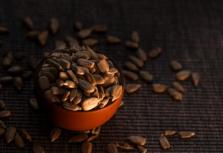 Gastronomy recipe healthy