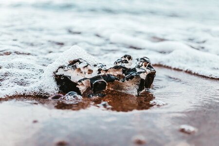 Beach coast sea photo