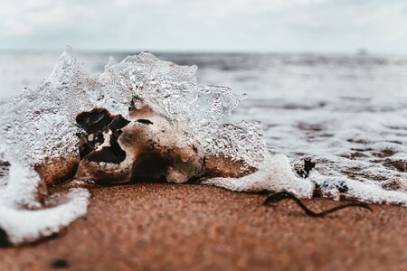 Beach coast sea photo