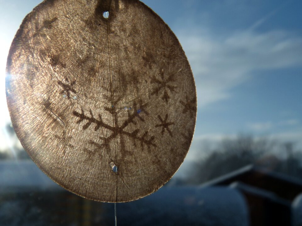 Background winter snow