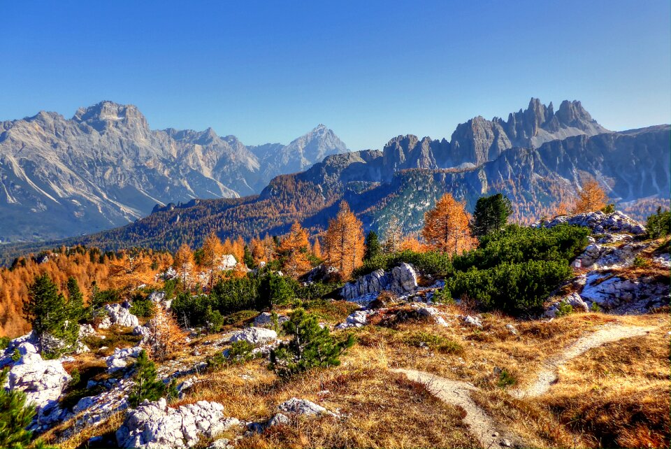 Italy summer nature