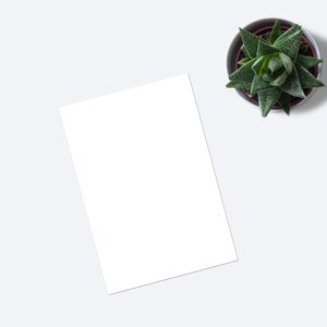 Mockup blank paper
