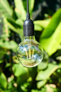 Light bulbs decoration