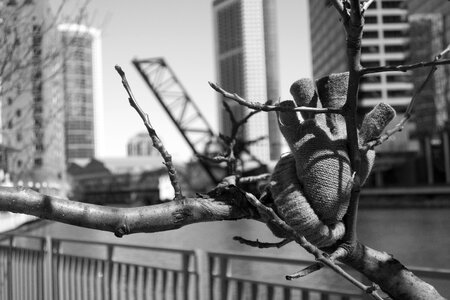 Cityscape downtown urban