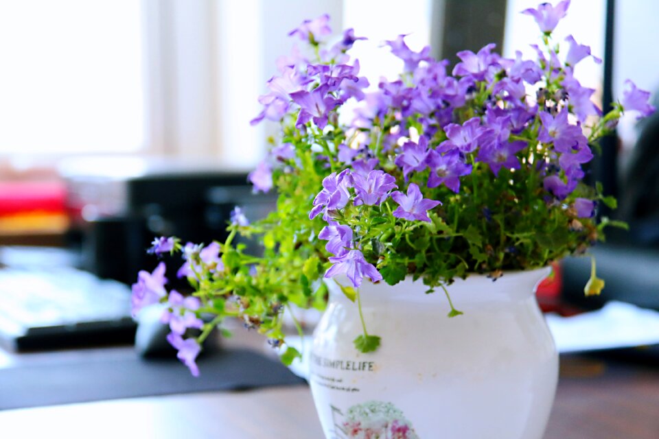 Flower small fresh purple flower