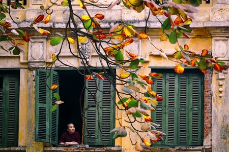 Early morning in hanoi hanoi people brown morning
