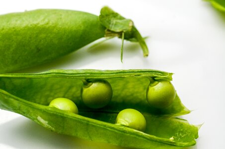 Vegetable healthy bean