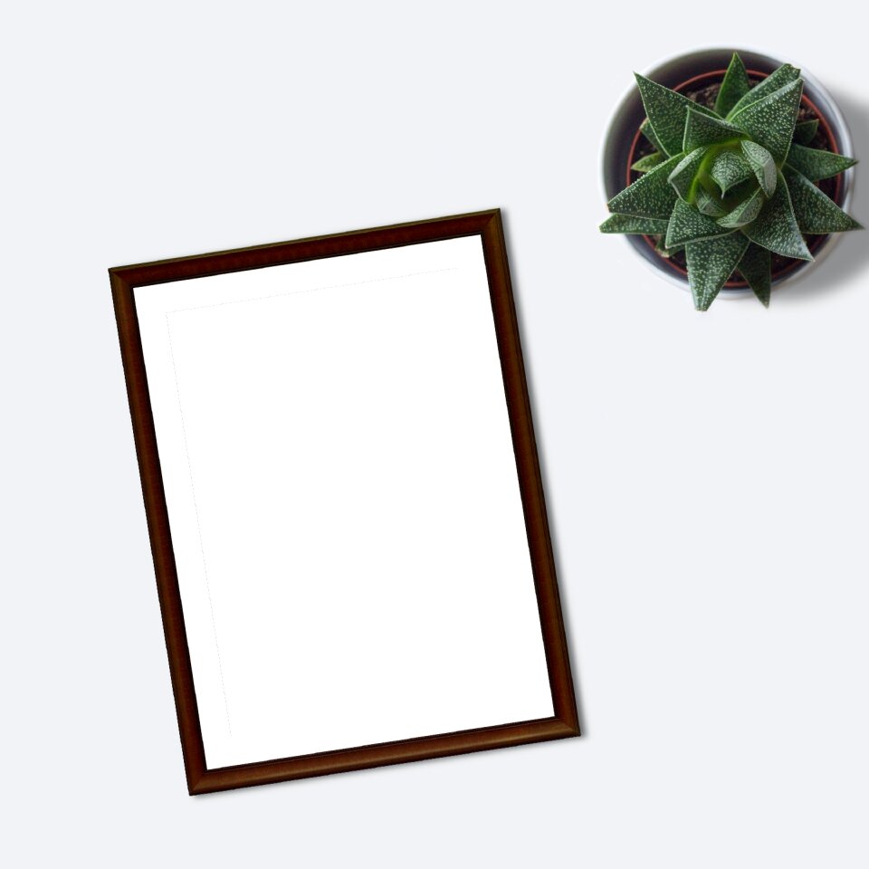 Plant ecommerce blank