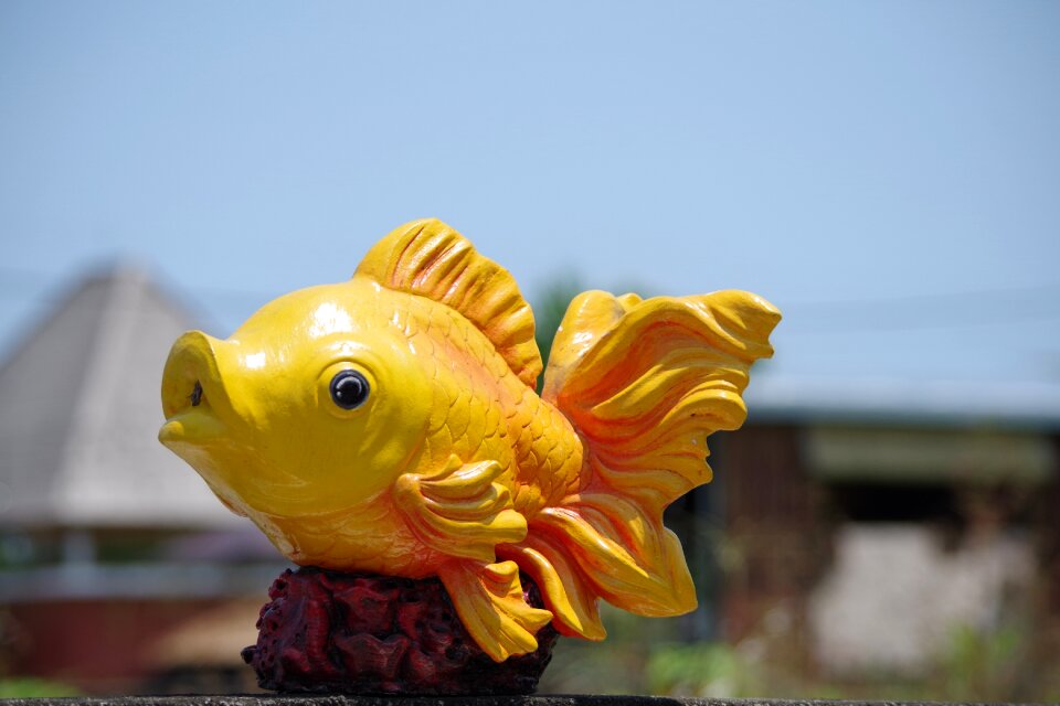 Fish yellow decoration