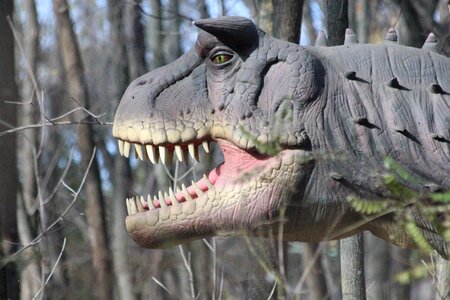 Wood teeth head