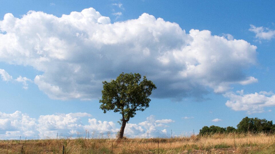 Valensole plateau rustic farmland photo