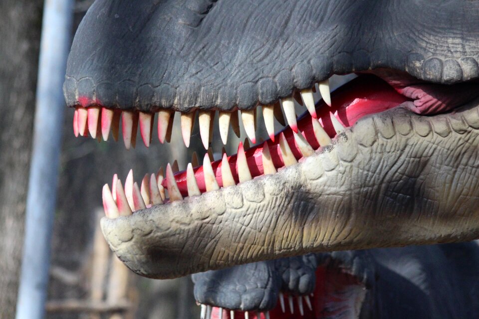 Closeup predator prehistoric animal