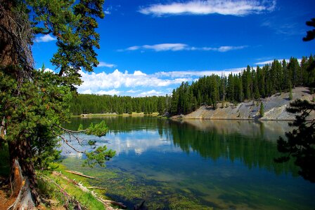 Wyoming landscape nature