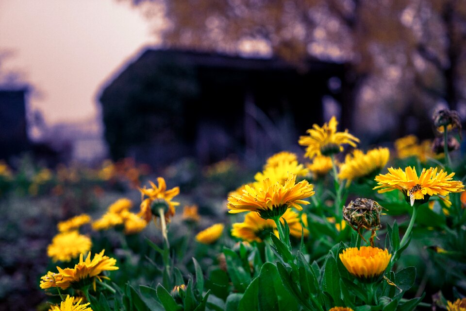 Nature mood landscape