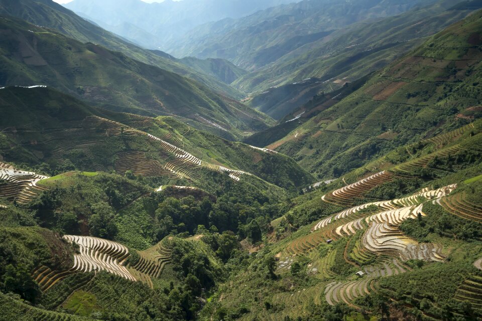 Magical field vietnam