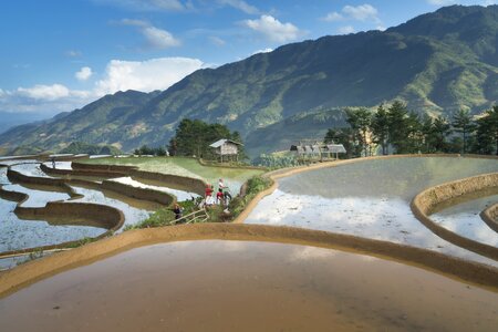 Minority field rice photo