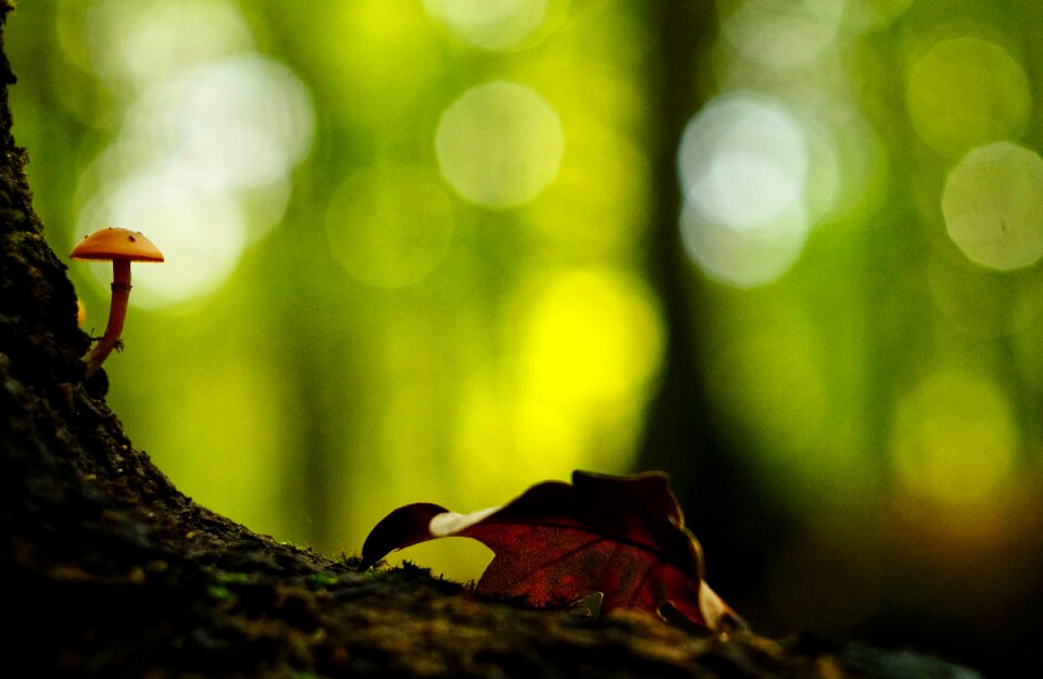 Background orange atmosphere