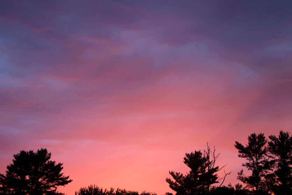 Clouds cloudscape trees