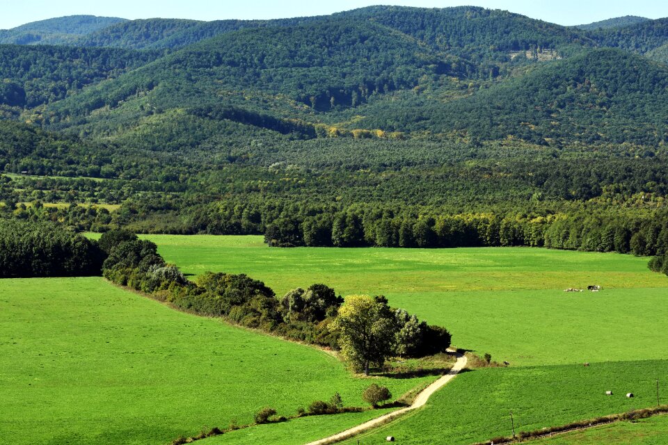 Nature autumn mood