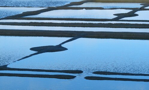 Salt marshes guérande nature