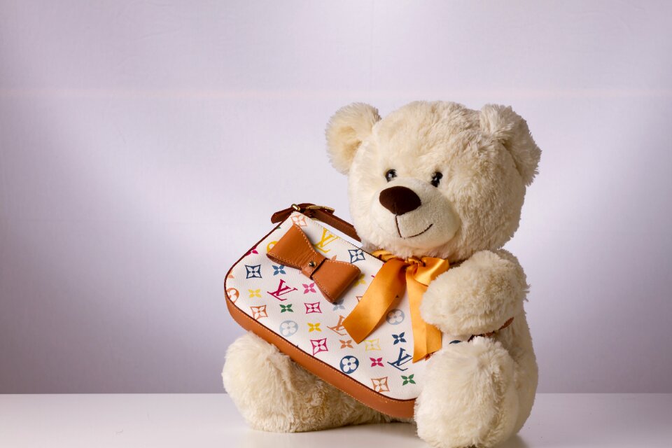Modebewusst trendy teddy