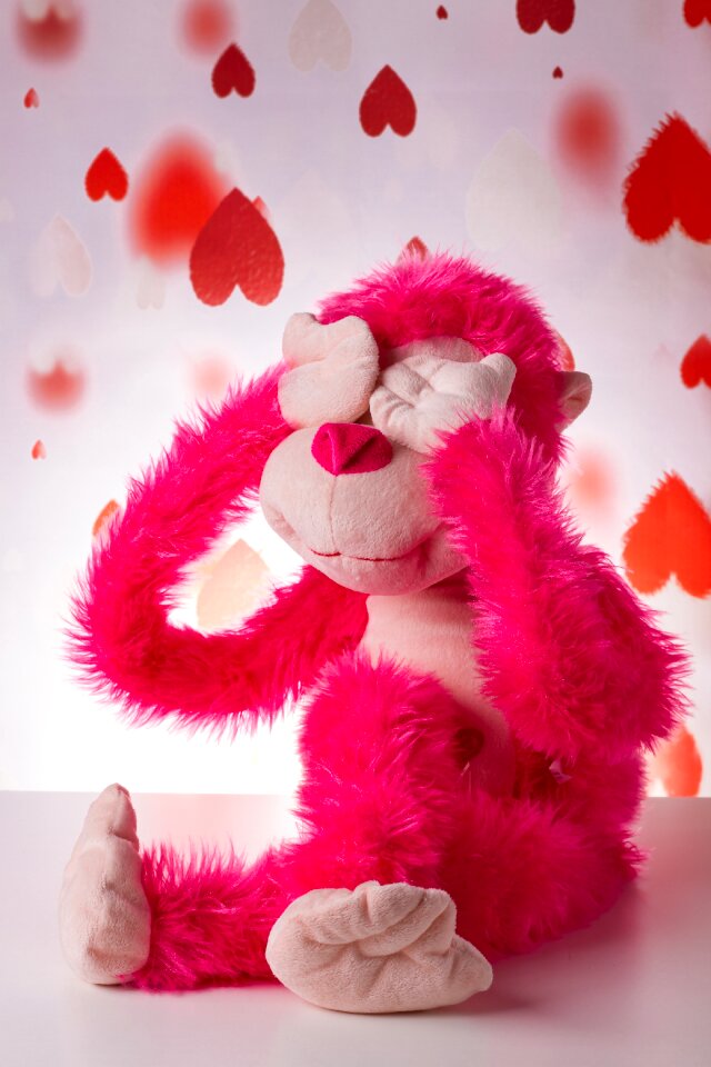 Ignorance mute monkey