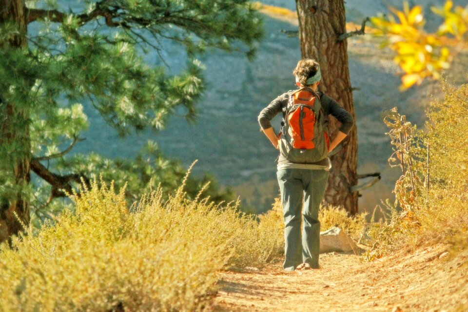 Journey pathway alone
