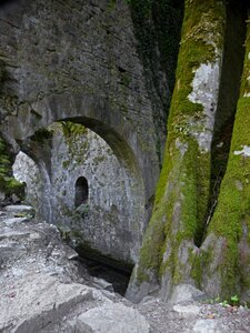 Pyrenees arc trees